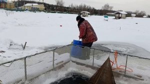 VID_20260211_142242_711