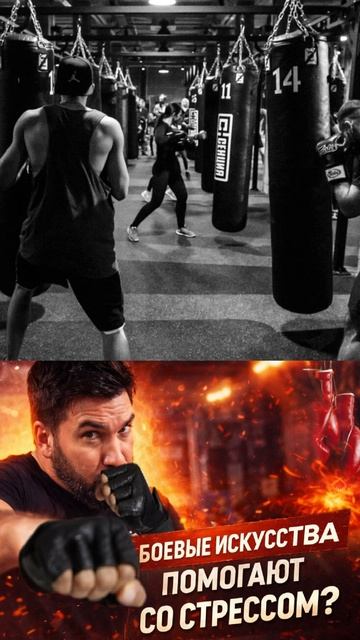 Боевые исскуства против стресса смотреть онлайн