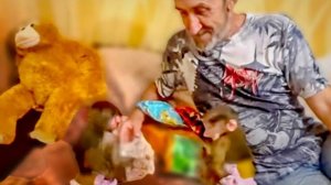 ПРИСТУП ЖАДНОСТИ снова накрыл Степашку с головой и он наотрез отказался делиться орехами)))