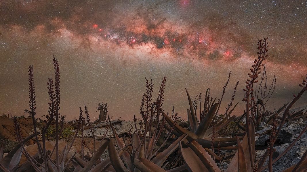 Fideles - Pyramids of Giza Egypt 2025 Set смотреть онлайн