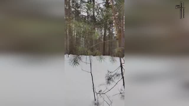 ПОВЕРЬ ИИСУСУ ХРИСТУ / МОЛИТВА В ЛЕСУ 🙏