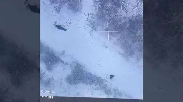 Наш боец минусует двух хряков в стрелковом бою.mp4 смотреть онлайн