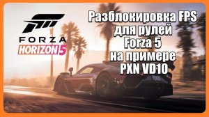 Разблокировка FPS для рулей Forza 5 на примере PXN VD10