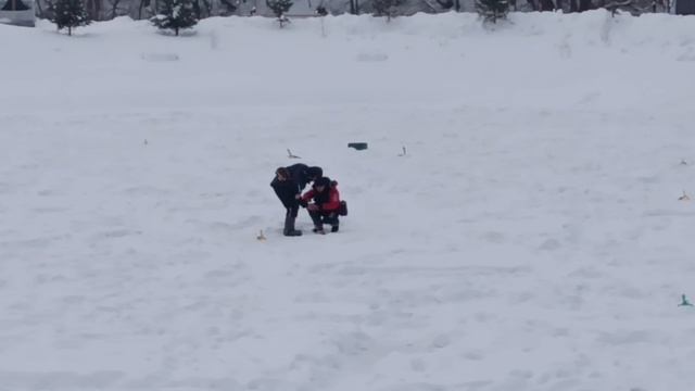 7312.mp4 смотреть онлайн