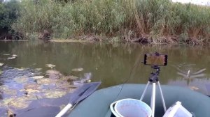 РЫБАЛКА НА ПОПЛАВОК . Летняя рыбалка на удочки. Рыбалка с лодки