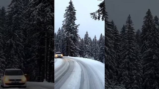 красивая песня в исполнении Очаровательной Румисы Никаевой смотреть онлайн