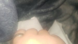 меряем заколку на лисички динозавры