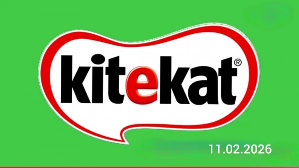 Фрагмент Эфира Kitekat TV 11.02.2026