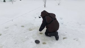 VID_20260211_145618_265