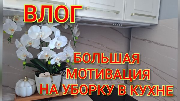 ВЛОГ/БОЛЬШАЯ МОТИВАЦИЯ НА УБОРКУ В КУХНЕ/ПРОБНЫЕ ЭКЗАМЕНЫ/СПОРТИВНАЯ СЕКЦИЯ.