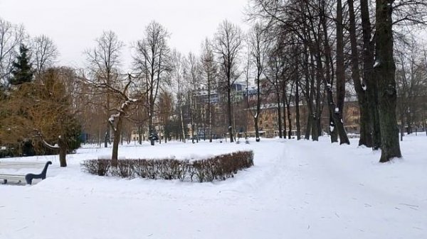 В окрестностях метро Выборгская. Санкт-Петербург. Прогулка