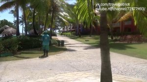 🌳 Сбор кокосов в Доминикане: увлекательное погружение в процесс добычи экзотических плодов 🌴