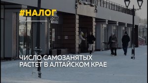 Каждый восьмой житель Алтайского края стал самозанятым: плюсы и ограничения нового формата бизнеса