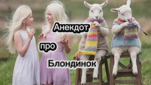 Анекдот про Блондинок! 🤣🤣🤣🤣🤣