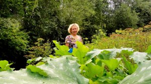 Отпуск закончился. Уборка перед отъездом. ( Архив 2011 год )