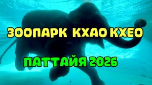 Посетили ЗООПАРК в ПАТТАЙЕ где много много диких обезьЯн 🐒
