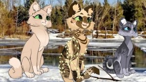 Вопрос ответ от Медовой Ветки! До 22 февраля!