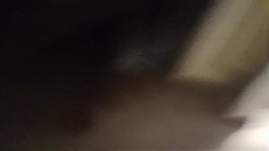 гугу Гага в доме!!! видео по приколу