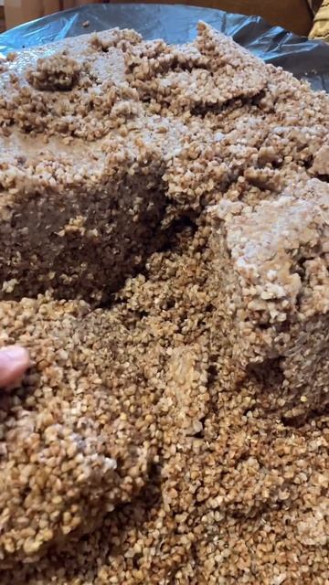 Гречневый тор с шоколадом смотреть онлайн