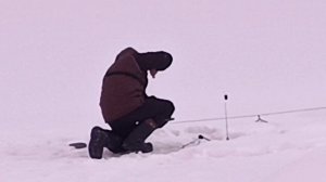 VID_20260211_133329_329