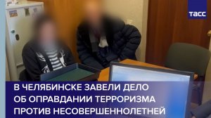 В Челябинске завели дело об оправдании терроризма против несовершеннолетней