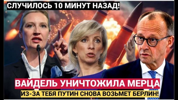 В Германии ИСТЕРИКА! Канцлера МЕРЦА подняли  НА ВИЛЫ! Бундестаг ТРЯСЕТ ЛИХОРАДКА!