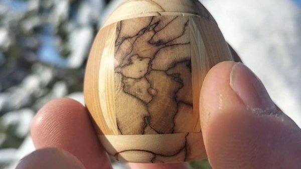 Шкатулка в зимнем парке на сосне