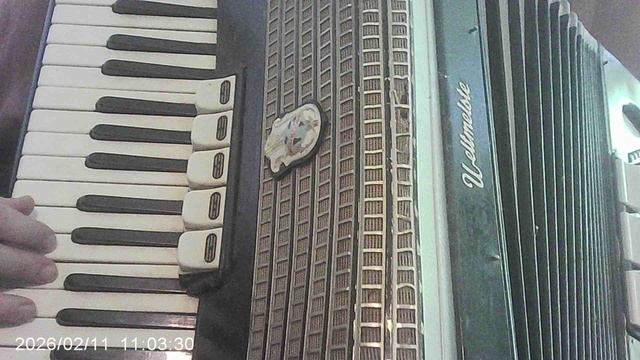 Аккордеон: детская песенка "Жили у бабуси"