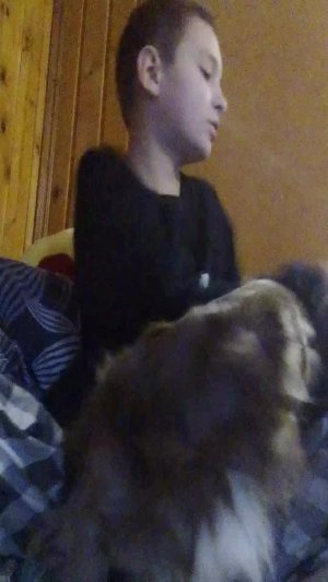 руприкак вопрос и ответ