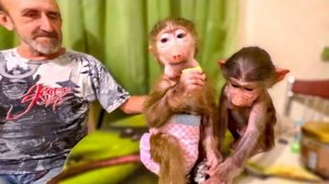 ВОТ ЭТО ДА! Вы посмотрите на Маню со Степкой скоро они догонят Люсю по развитию)))