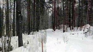 Горнолыжный комплекс" Пухтолова гора "....10.02 2026г