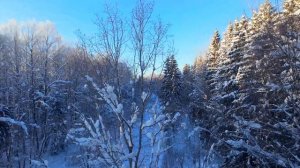 Торопецкий тракт. Холодно.