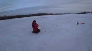 ВЕЧЕРНИЙ ВЫХОД ОКУНЯ,РАЗДАЧА ..... ЩУКА НА БАЛАНСИР ! Рыбалка на Алтае!