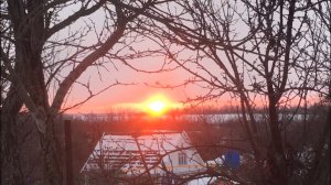 НЕЙРОСЕТЬ- ГОЛУБОЙ ВАГОН, ЧЕБУРАШКА, ГЕНА ( ИИ Кавер)