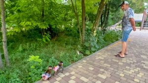 У Мани, Степы и Басика НЕОЖИДАННО появились НОВЫЕ ДРУЗЬЯ)))