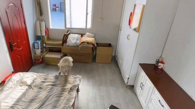 Подстава года. смотреть онлайн