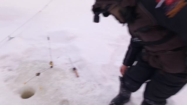 VID_20260211_133332_216 смотреть онлайн