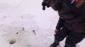 VID_20260211_133332_216