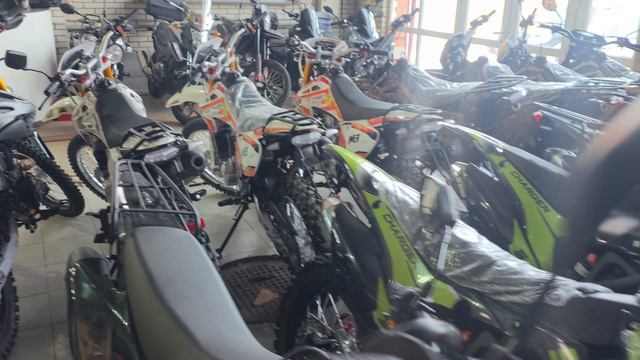 Отправка Гюрза М3 Владикавказ т:89612934363 с 10.00 до 20.00 смотреть онлайн