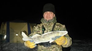 Поехали за судаком , а наловили леща!