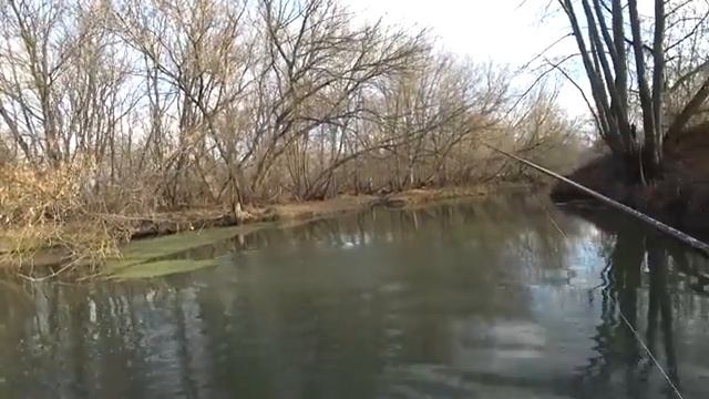 РАССТАВИЛ ЖЕРЛИЦЫ В ЗАРОСШЕЙ МИКРО РЕЧКЕ и офигел от улова. Рыбалка на спиннинг смотреть онлайн