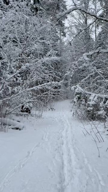 Красота в моменте 💕