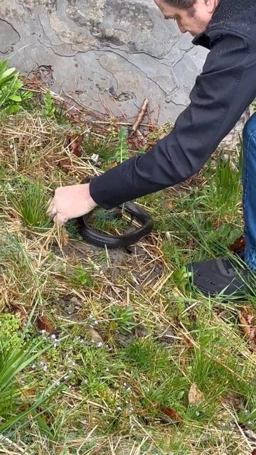 Такой концовки я и сам не ожидал (193) смотреть онлайн