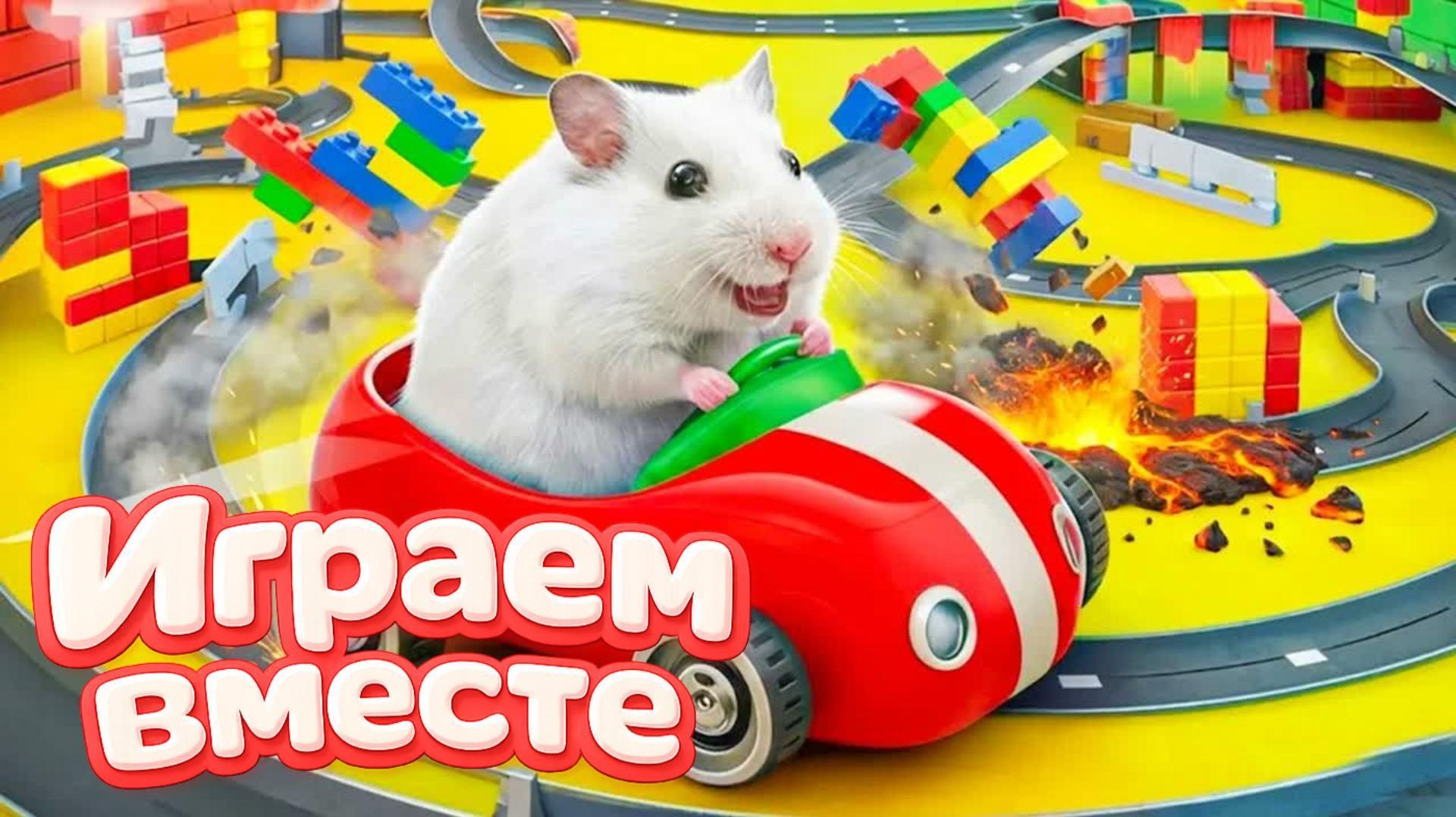 ЛАБИРИНТ С ЛОВУШКАМИ ДЛЯ УМНОГО ХОМЯКА 🐹 ВИДЕО ПРО ХОМЯКА ДЛЯ ДЕТЕЙ ! ДОМАШНИЕ ЖИВОТНЫЕ смотреть онлайн
