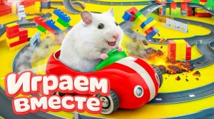 ЛАБИРИНТ С ЛОВУШКАМИ ДЛЯ УМНОГО ХОМЯКА 🐹 ВИДЕО ПРО ХОМЯКА ДЛЯ ДЕТЕЙ ! ДОМАШНИЕ ЖИВОТНЫЕ