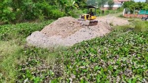 First Starting Perfect New Project Landfill On The Flooded Complete by Dozer D20P and Truck Dumping