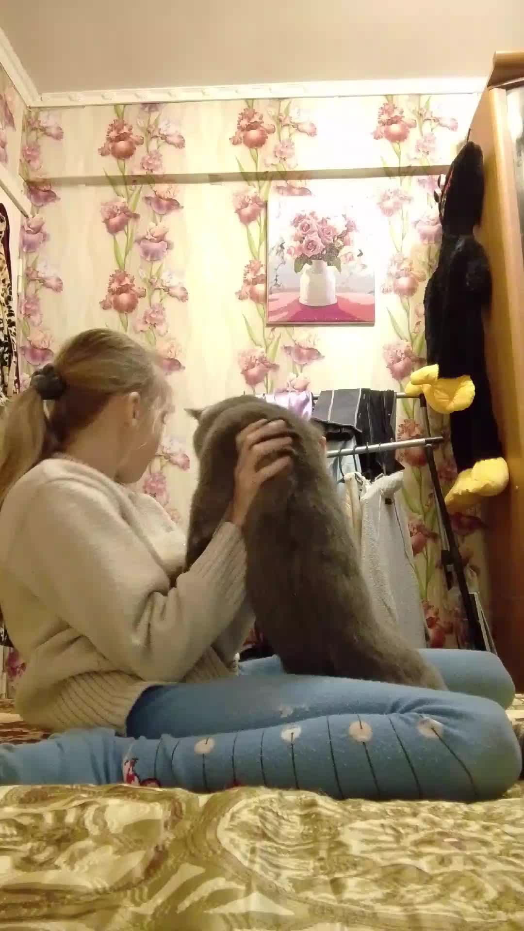 вауу смотреть онлайн