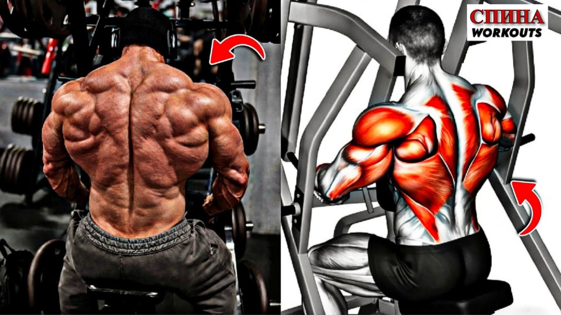 8 Необходимых Упражнений Для Спины - Накачай Максимальную Ширину Толщину Широчайших 💪 смотреть онлайн