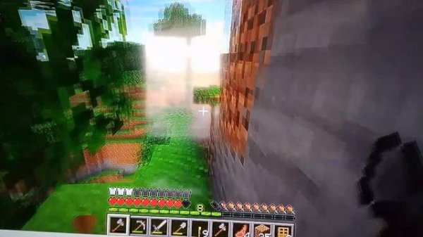 я продолжаю выживать в майнкрафт.