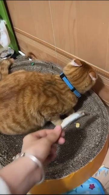 «Оскар» за лучшую актерскую игру уходит этому парню смотреть онлайн